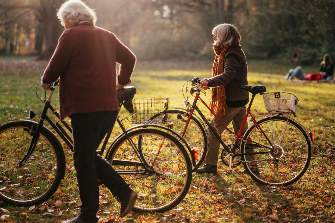 Two elderly individuals walking bicycles through a sunlit park with autumn leaves on the ground.